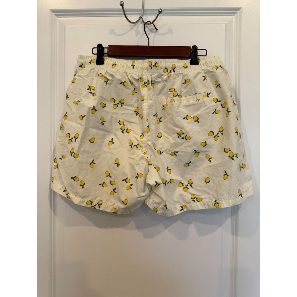 Zara Man Lemons Print Swim Trunks / Briefs NWOT Men’s XL - Picture 5 of 6